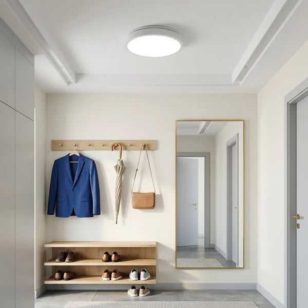 Plafoniera LED Sevilla rotunda, Ø260 mm, 24W, 6500K,