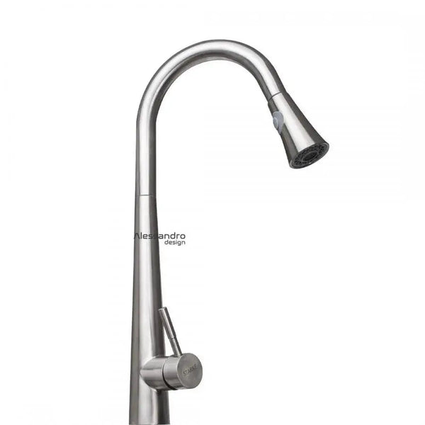 Baterie Bucatarie Roma Extractibil, Inox SUS304, Satinat, CF021